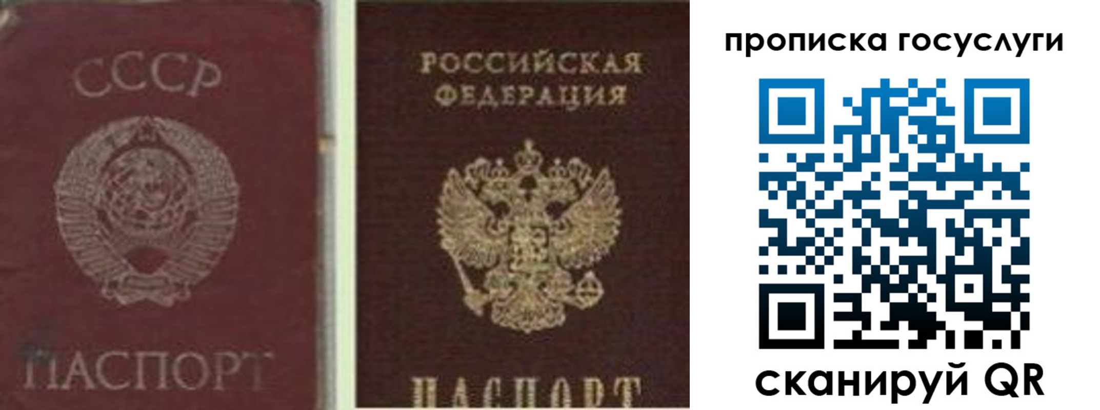 временная регистрация 2025 в Читинской области